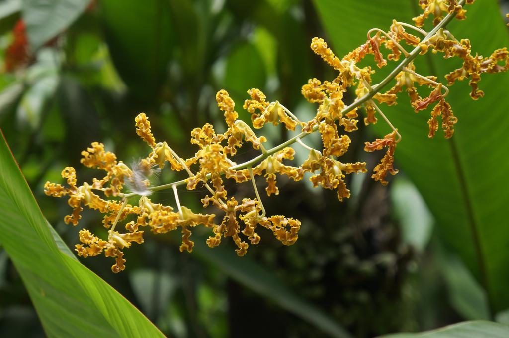 Raintree Lodge Port Moresby Bagian luar foto